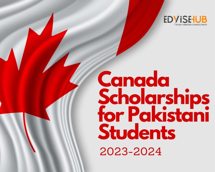 Scholarships for international students